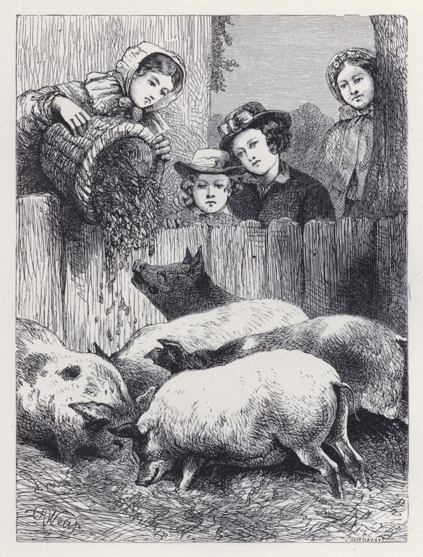 Feeding the Pigs by Harrison William Weir