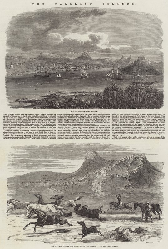 The Falkland Islands by Harrison William Weir