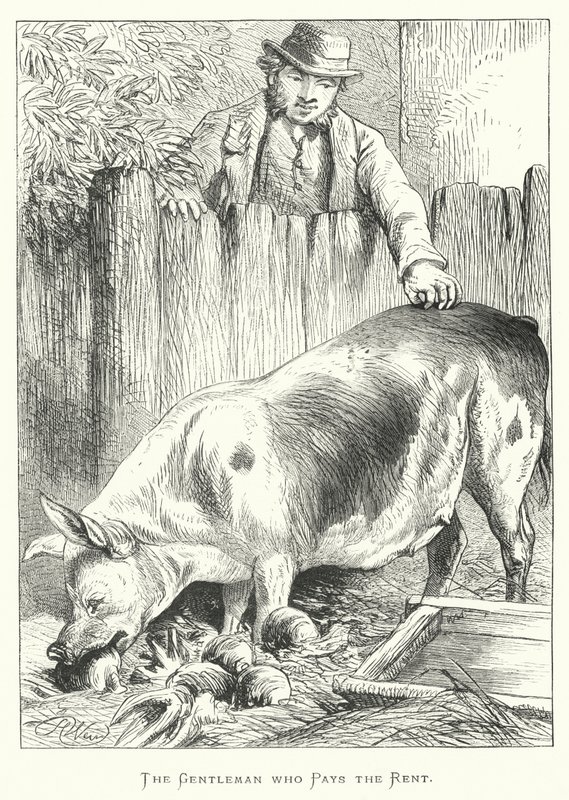 The Gentleman Who Pays the Rent by Harrison William Weir