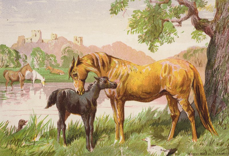 The Ruined Castle by Harrison William Weir
