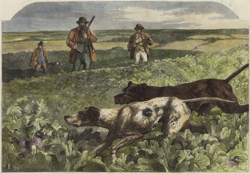 The first of September by Harrison William Weir