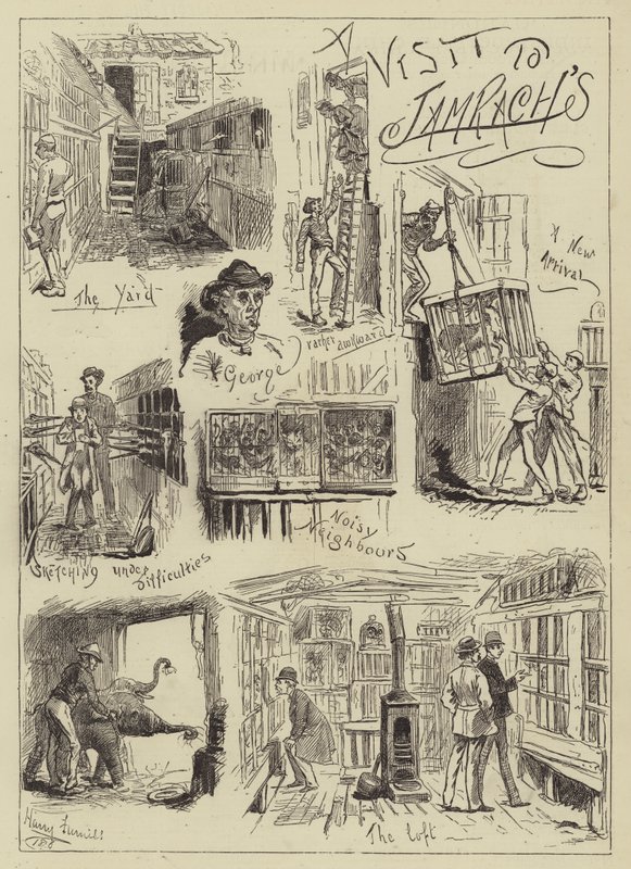 A Visit to Jamrach