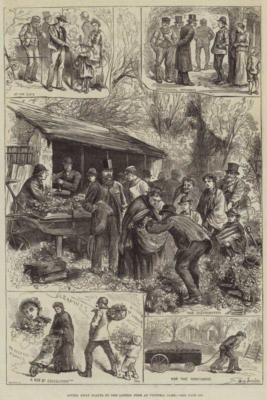 Giving Away Plants to the London Poor at Victoria Park by Harry Furniss