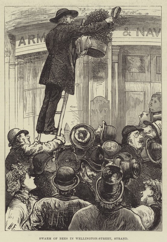 Swarm of Bees in Wellington-Street, Strand by Harry Furniss