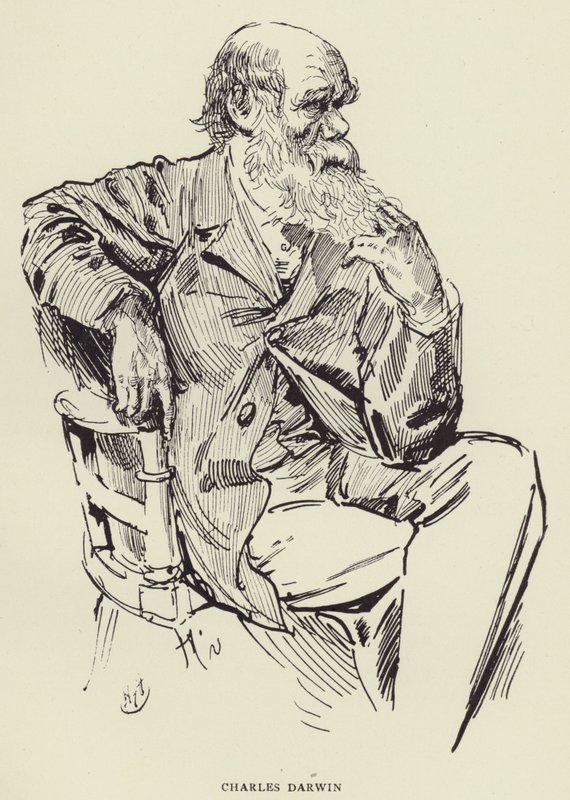 Charles Darwin by Harry Furniss