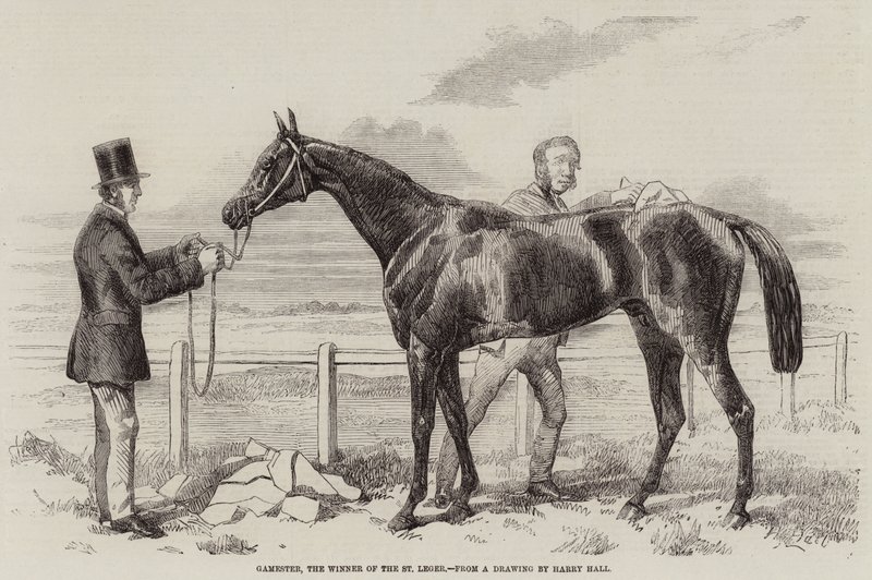 Gamester, the Winner of the St Leger by Harry Hall