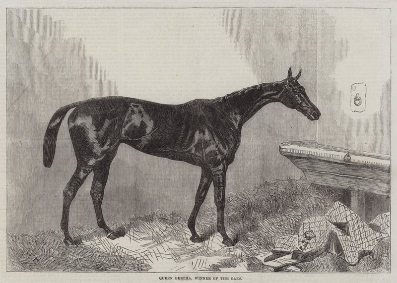 Queen Bertha, Winner of the Oaks by Harry Hall