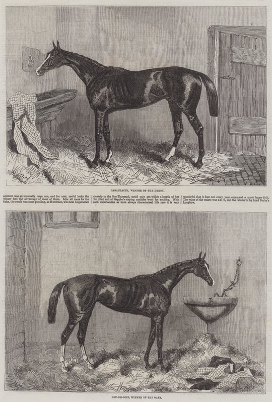 Winners of the Derby and Oaks by Harry Hall