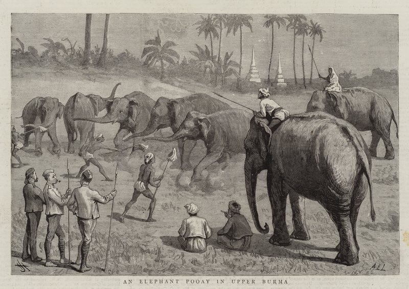 An Elephant Pooay in Upper Burma by Harry Hamilton Johnston