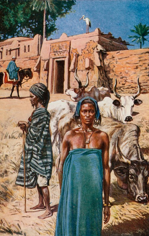 The Fulas by Harry Hamilton Johnston