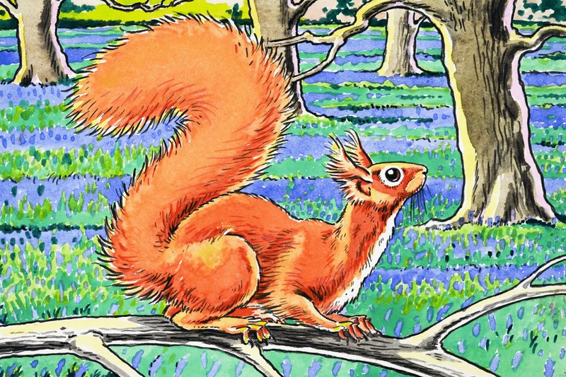 Little Red Squirrel by Harry M. Pettit