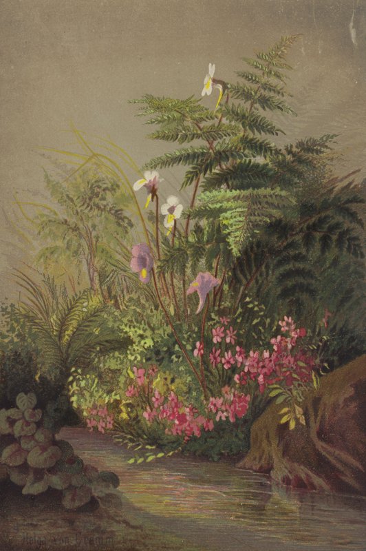 Flowers Beside a Stream by Helga von Cramm