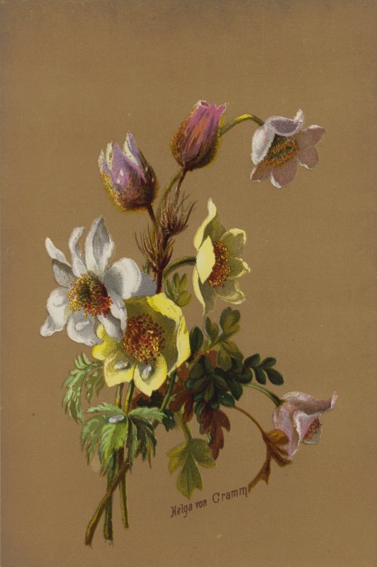Sunbeam and Dewdrop by Helga von Cramm