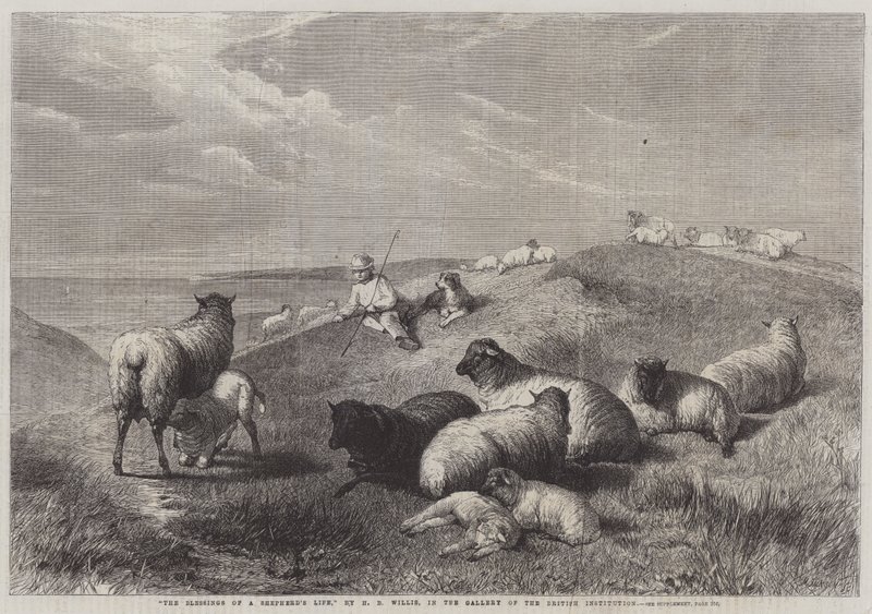 The Blessings of a Shepherd