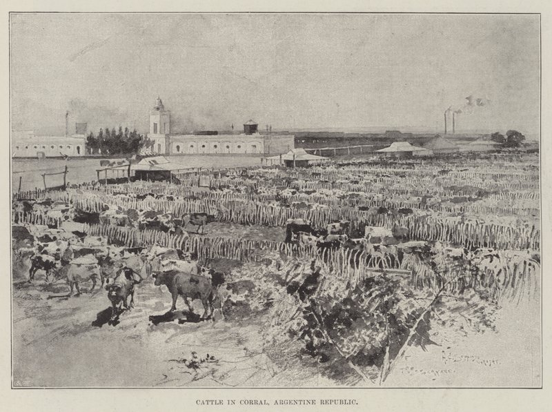 Cattle in Corral, Argentine Republic by Henry Charles Seppings Wright