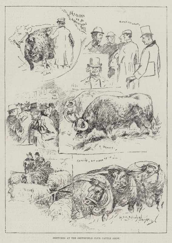 Sketches at the Smithfield Club Cattle Show by Henry Charles Seppings Wright