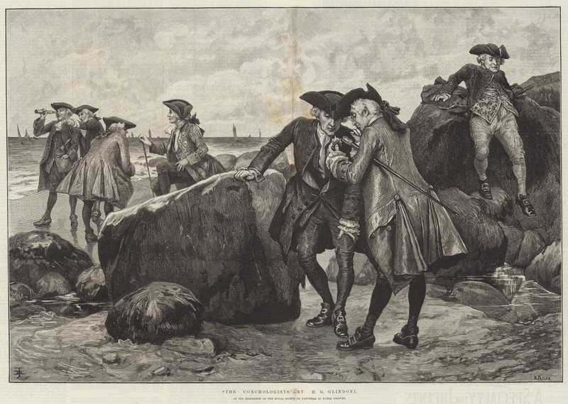 The Conchologists by Henry Gillard Glindoni