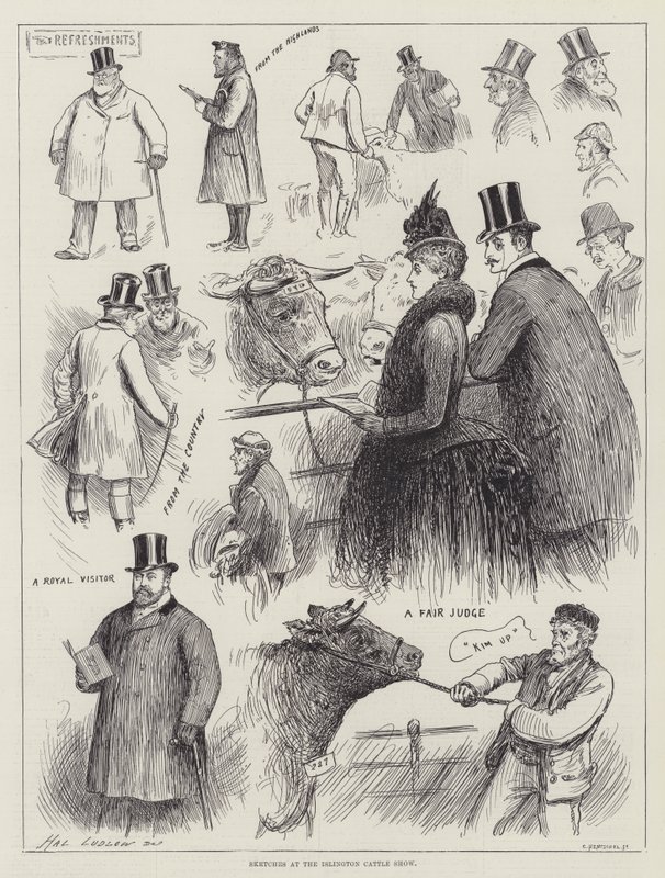 Sketches at the Islington Cattle Show by Henry Stephen Ludlow