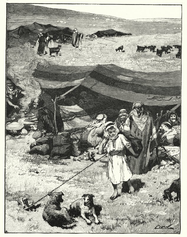 A Bedouin encampment by Henry Andrew Harper