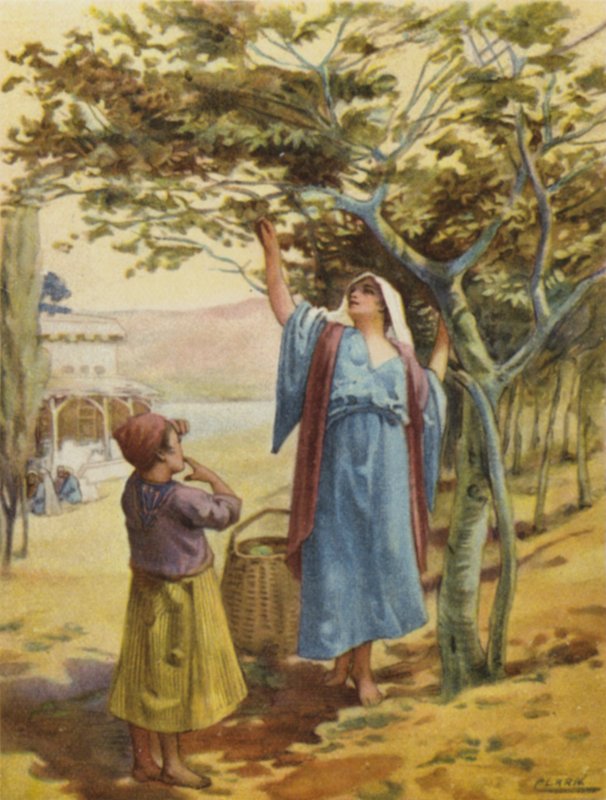 Gathering Figs (colour litho) by Henry Andrew Harper
