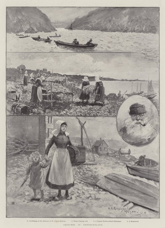 Sketches in Newfoundland by Henry Charles Seppings Wright