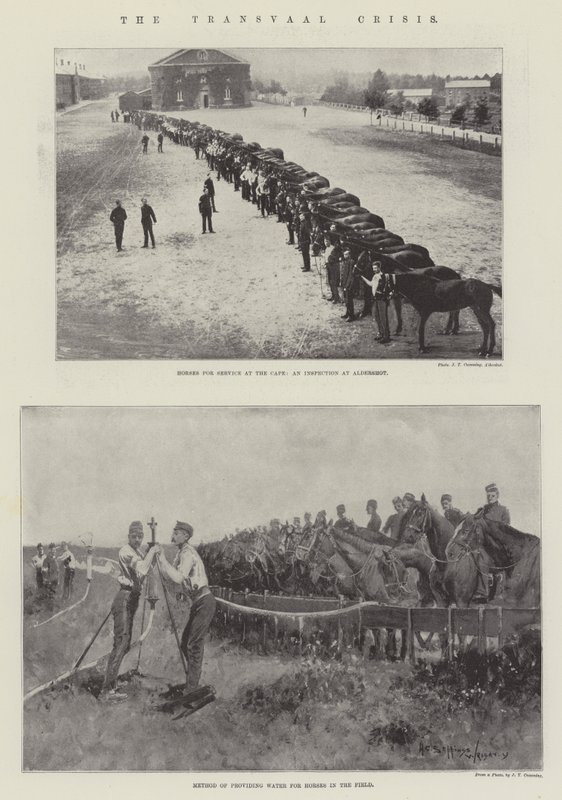 The Transvaal Crisis by Henry Charles Seppings Wright
