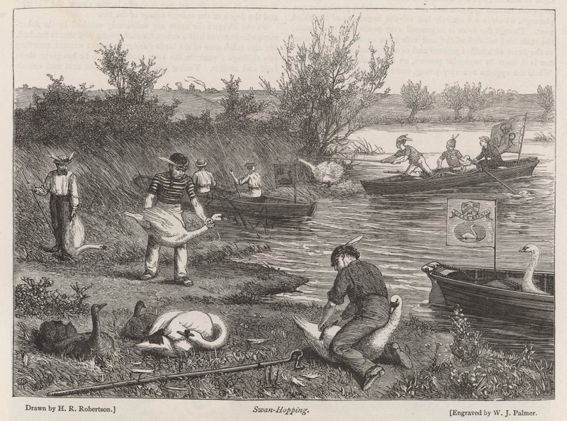 Swan-Hopping by Henry Robert Robertson