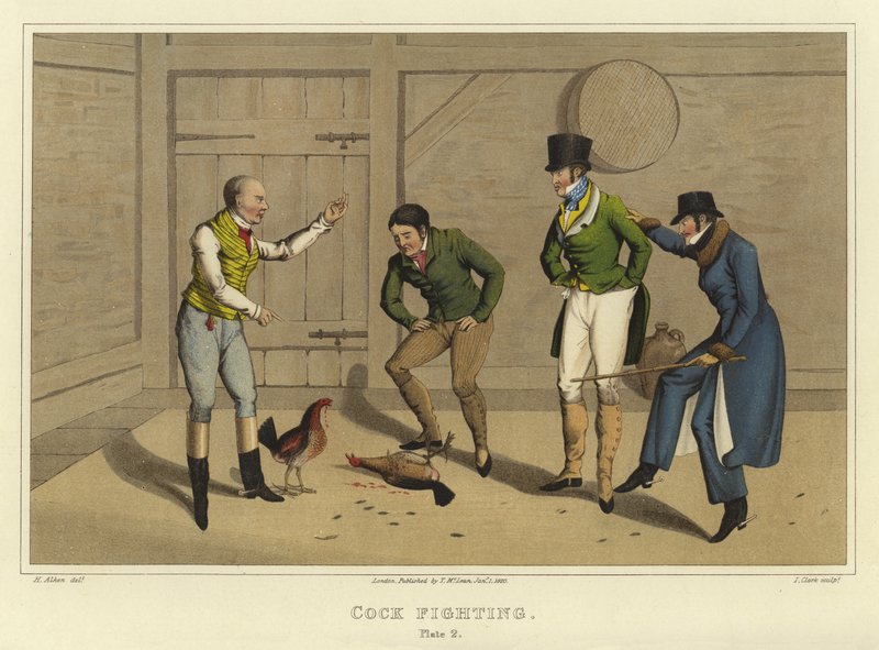 Cock Fighting by Henry Thomas Alken