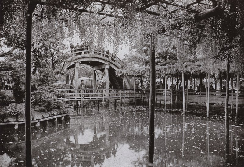 Kameido by Herbert Ponting
