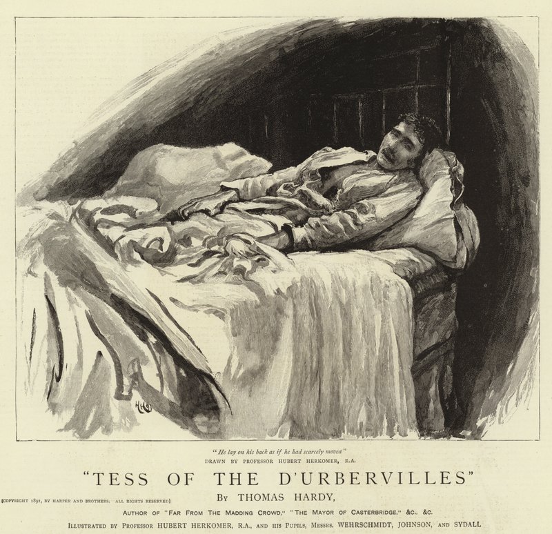 Tess of the D
