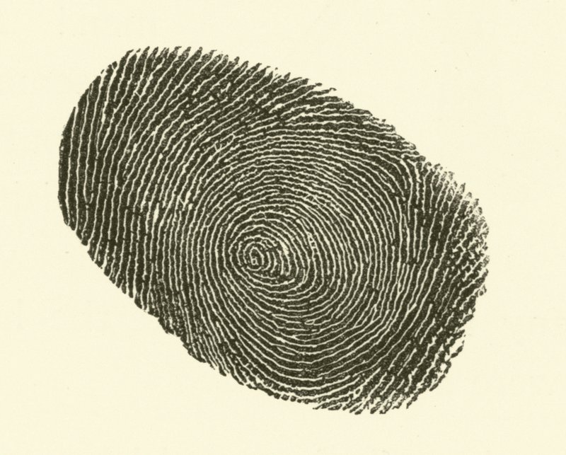 Fingerprint by Hugh Rowley