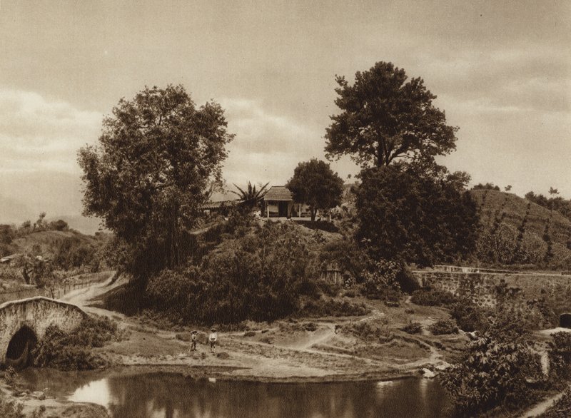 Mexico: Surroundings of Jalapa by Hugo Brehme