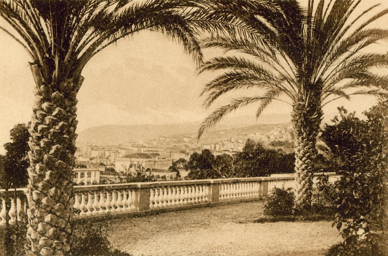 San Remo, Among the Palms by Italian Photographer