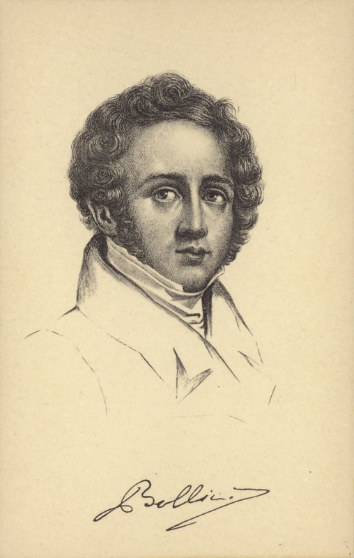 Vincenzo Bellini by Italian School