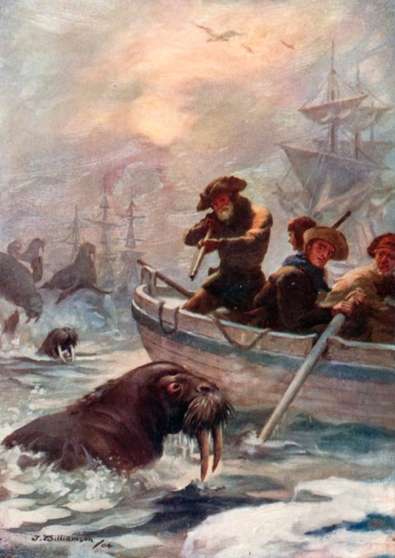Captain Cooks crew shooting walruses for food by J. Williamson