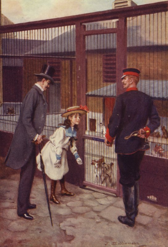 Ethel finds Scamp by J. Williamson
