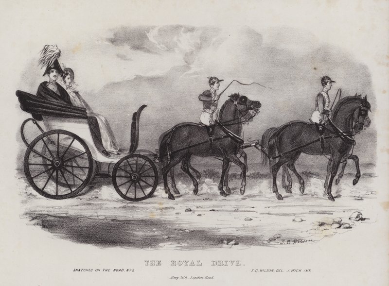 The Royal Drive by J.C. Wilson