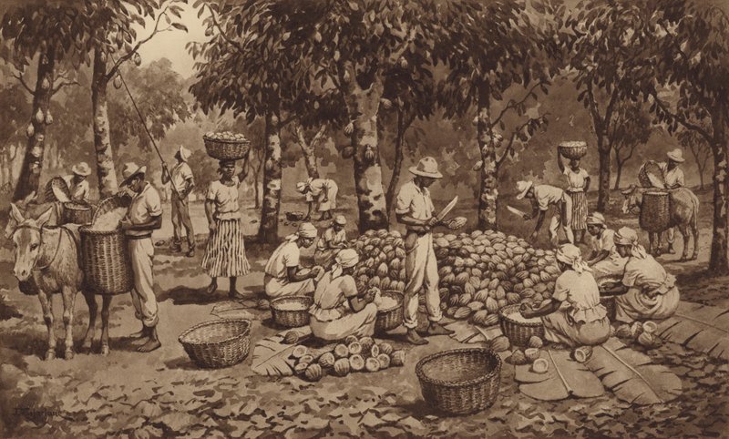 Breaking cocoa pods in Trinidad by J. Macfarlane
