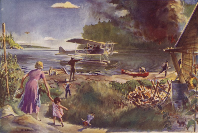 Aeroplane and Forest Fire by James Fergus Kyle