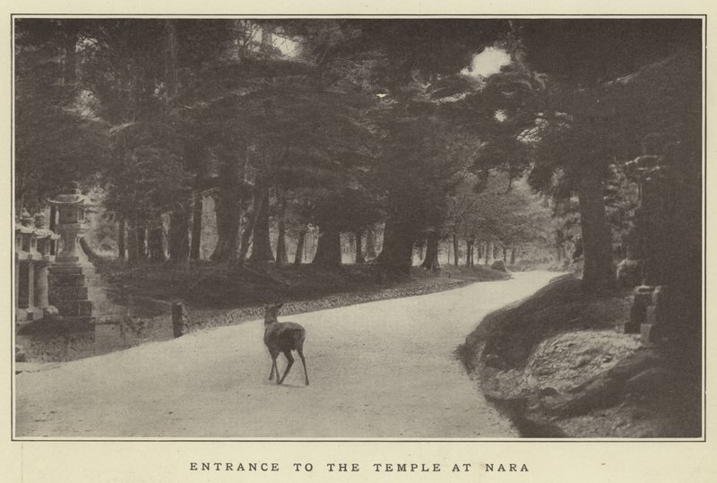 Entrance to the Temple at Nara by Japanese Photographer