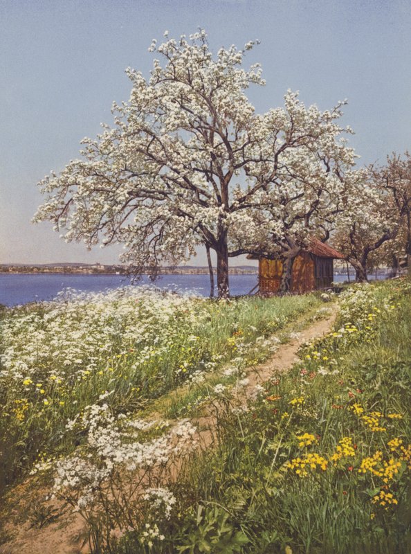 Switzerland: May-Time by Jean Gaberell