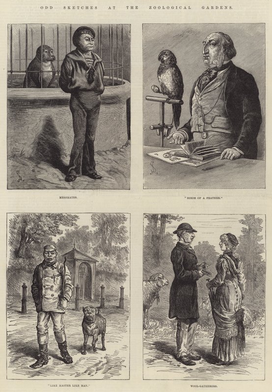 Odd Sketches at the Zoological Gardens by Johann Nepomuk Schonberg