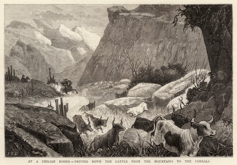 At a Chilian Rodeo, driving down the Cattle from the Mountains to the Corrals by John Charles Dollman