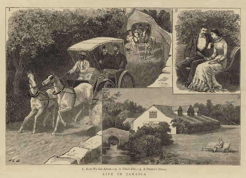 Life in Jamaica by John Charles Dollman
