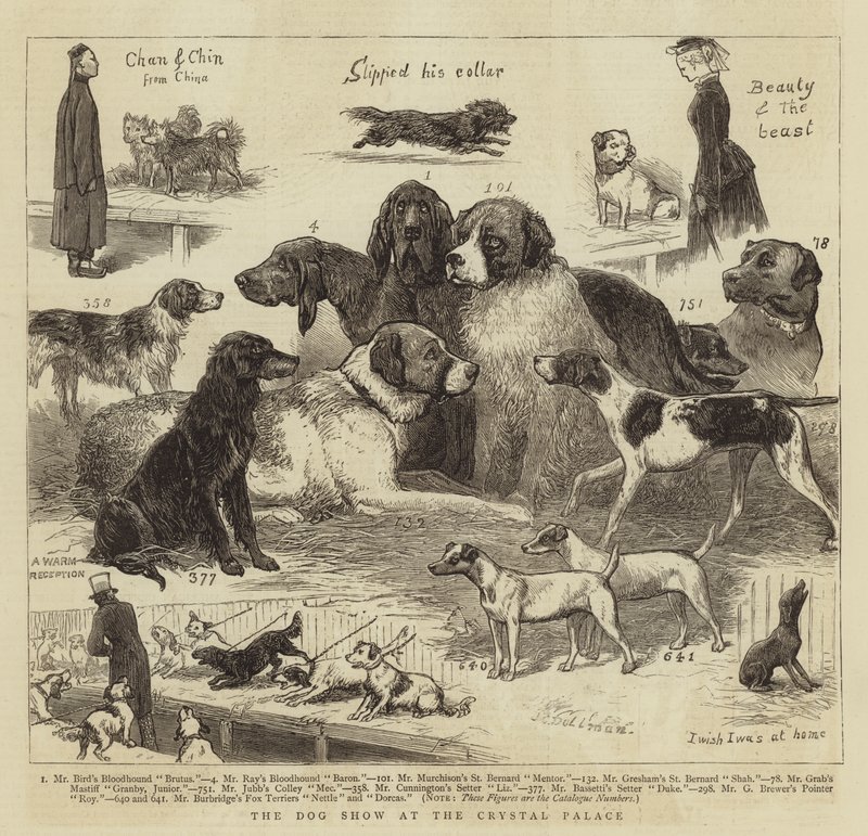 The Dog Show at the Crystal Palace by John Charles Dollman