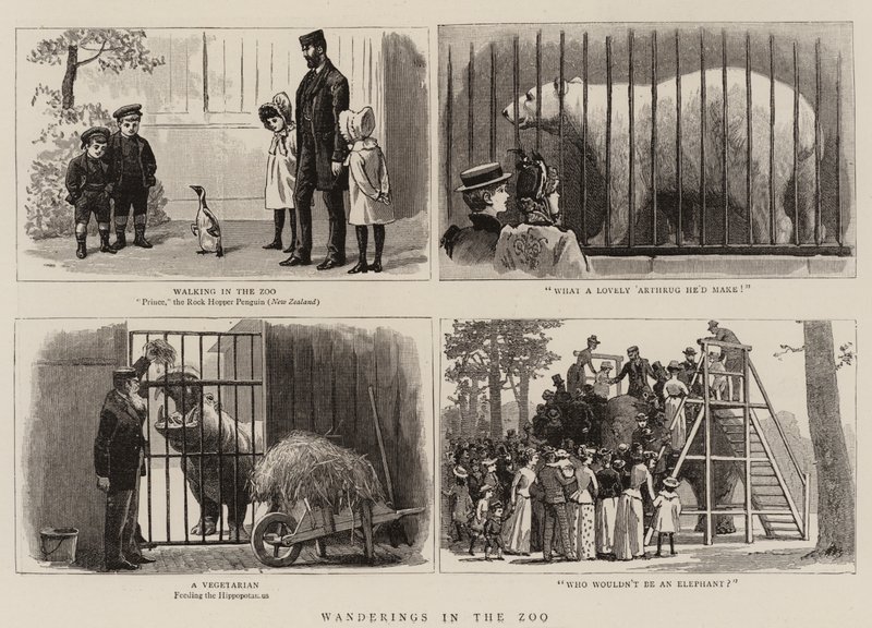 Wanderings in the Zoo by John Charles Dollman