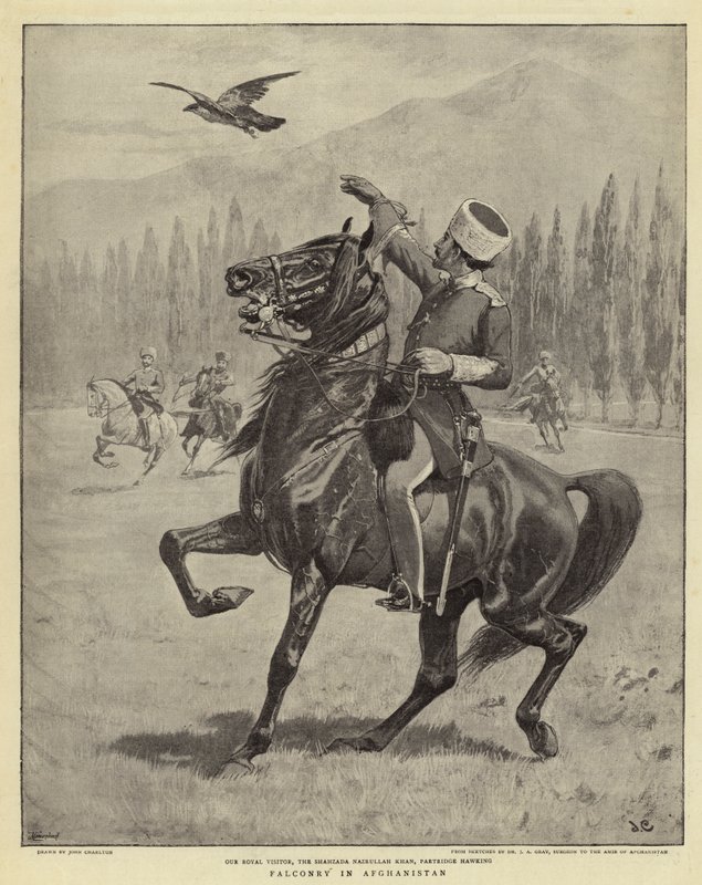 Falconry in Afghanistan by John Charlton