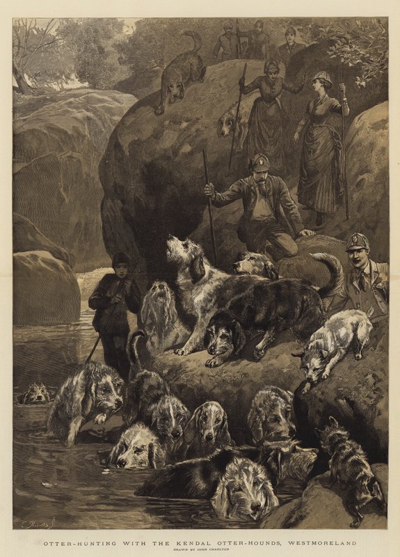 Otter-Hunting with the Kendal Otter-Hounds, Westmoreland by John Charlton