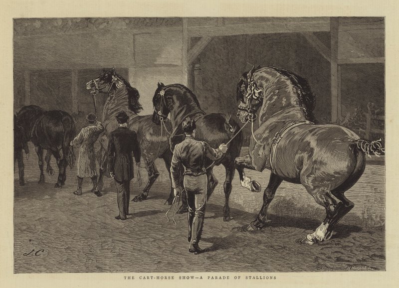 The Cart-Horse Show, a Parade of Stallions by John Charlton