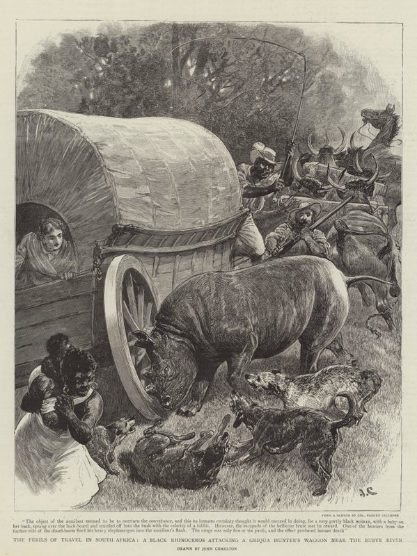 The Perils of Travel in South Africa, a Black Rhinoceros attacking a Griqua Hunter